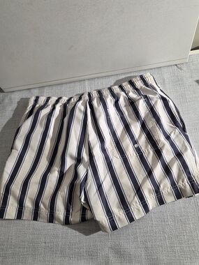 Pacsun Men's Striped Swim/Board Shorts in Navy and White